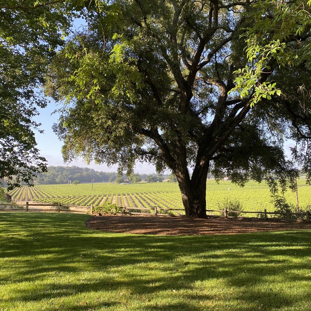 Ru's Farm - Ceremony spot - Venues & Event Spaces Near Me - Healdsburg, California Ru's Farm - Ceremony spot - Venues & Event Spaces Near Me - Healdsburg, California