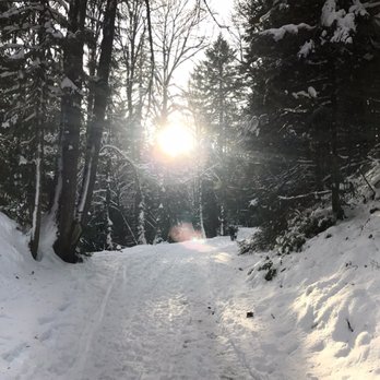 Forest Park - Parks Near Me - Portland, Oregon