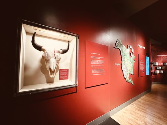 First Americans Museum by null