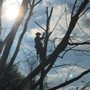 Photo of ArborMaxx