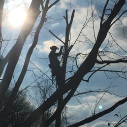 ArborMaxx