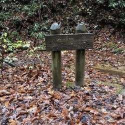 Red River Gorgeous - Tail marker