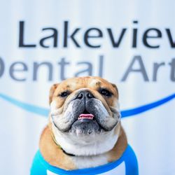 Lakeview Dental Arts - Our mascot, Bella!