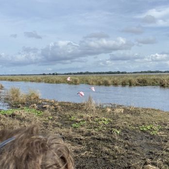 A-Awesome Airboat Ride - Boat Charters Near Me - Christmas, Florida