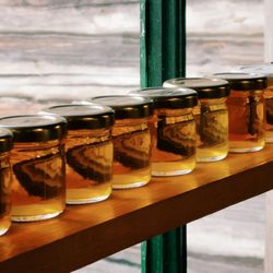 Sugar Moon Farm - Maple syrup jars, showing differences in harvesting time
