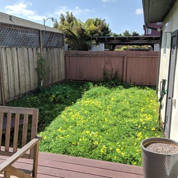 Perfect Landscaping Services - BEFORE photo.  From weeds to elegant in just three days! - Landscaping Near Me