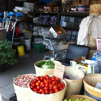International Supermarket - BBQ supplies and veggies outside - Specialty Food Near Me - York, Ontario International Supermarket - BBQ supplies and veggies outside - Specialty Food Near Me - York, Ontario