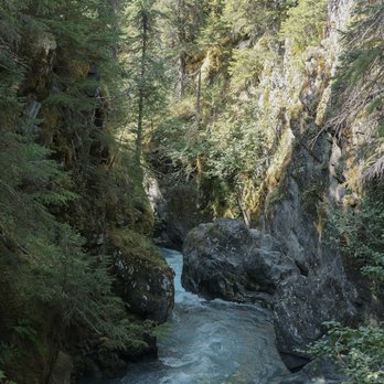 Winner Creek Trail - Winner Creek Trail - Hiking Near Me - Girdwood, Alaska Winner Creek Trail - Winner Creek Trail - Hiking Near Me - Girdwood, Alaska