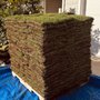 Photo of Oceanic Landscaping