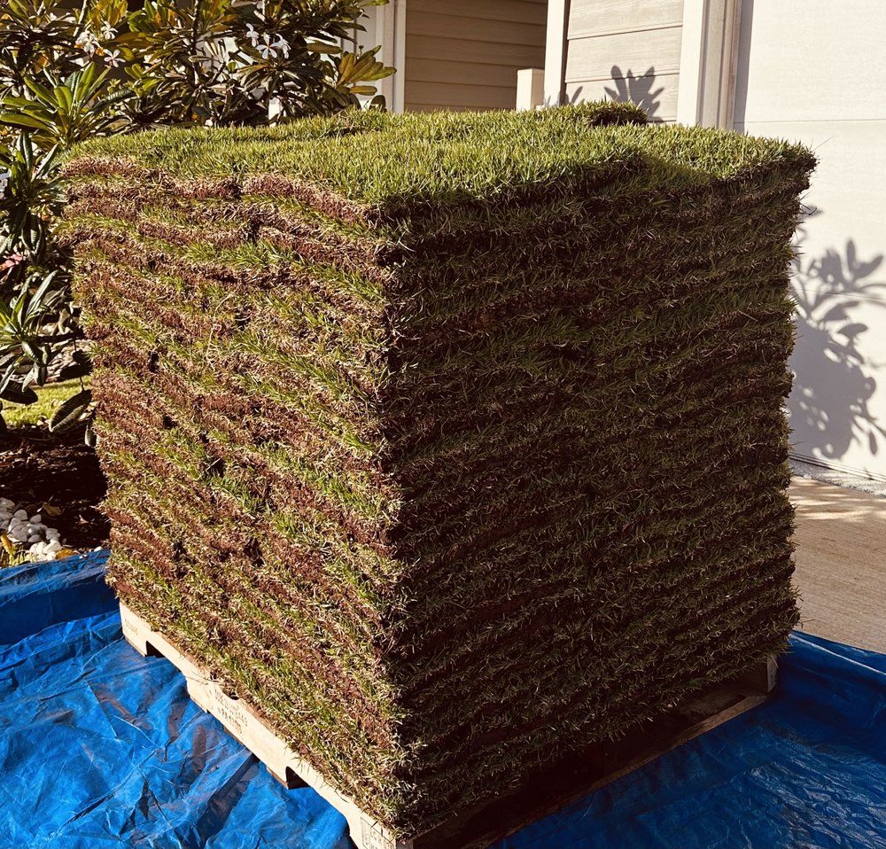 Oceanic Landscaping - tree service in Honolulu, HI