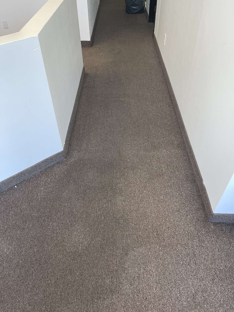 DESERT CARPET CLEANERS Updated August 2024 64 Reviews Las Vegas