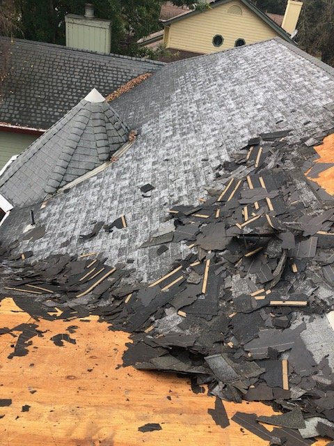 Slide of Roof & Gutter Busters