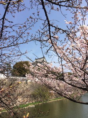Kishiwada Castle by null