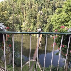 Restauracja Perła Zachodu