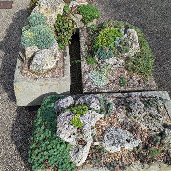 Kew Gardens - Trough Gardens outside the Alpine House - Botanical Gardens Near Me