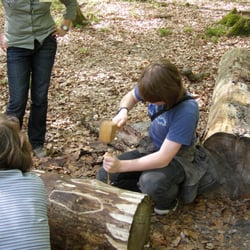 Wildwald Vosswinkel
