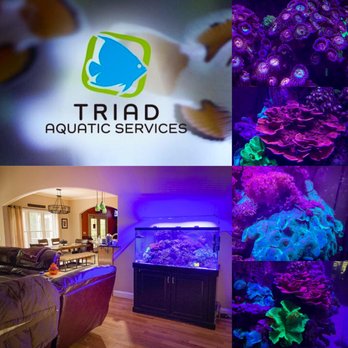 Triad Aquatic Services - Aquarium Services Near Me - Greensboro, North Carolina Triad Aquatic Services - Aquarium Services Near Me - Greensboro, North Carolina