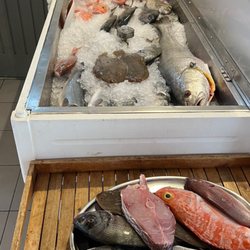 O Pescador Benagil - Fresh Fish