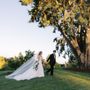 Photo of Fondly Frieda Events