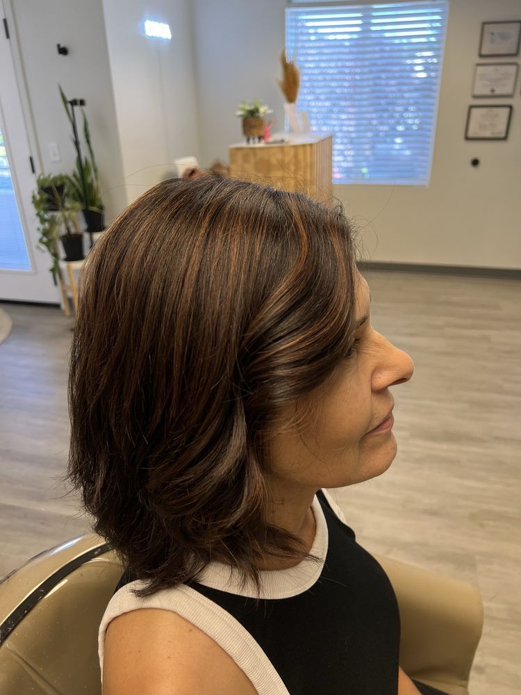 Diosa Hair Studio  Logo