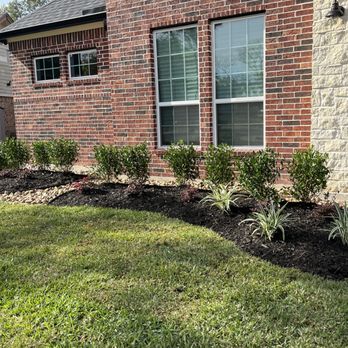 A.D.I Landscaping & Tree Service - Landscaping Near Me - Houston, Texas