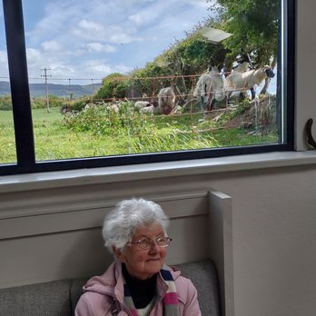Strandfield House - The sheep right outside look quite surreal at times, like a video screen instead of reality! - Cafes Near Me