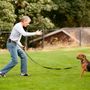 Photo of Canyon Crest K-9 Training Center & Daycare
