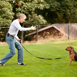 Canyon Crest K-9 Training Center & Daycare - Dog's Are Great Seminar