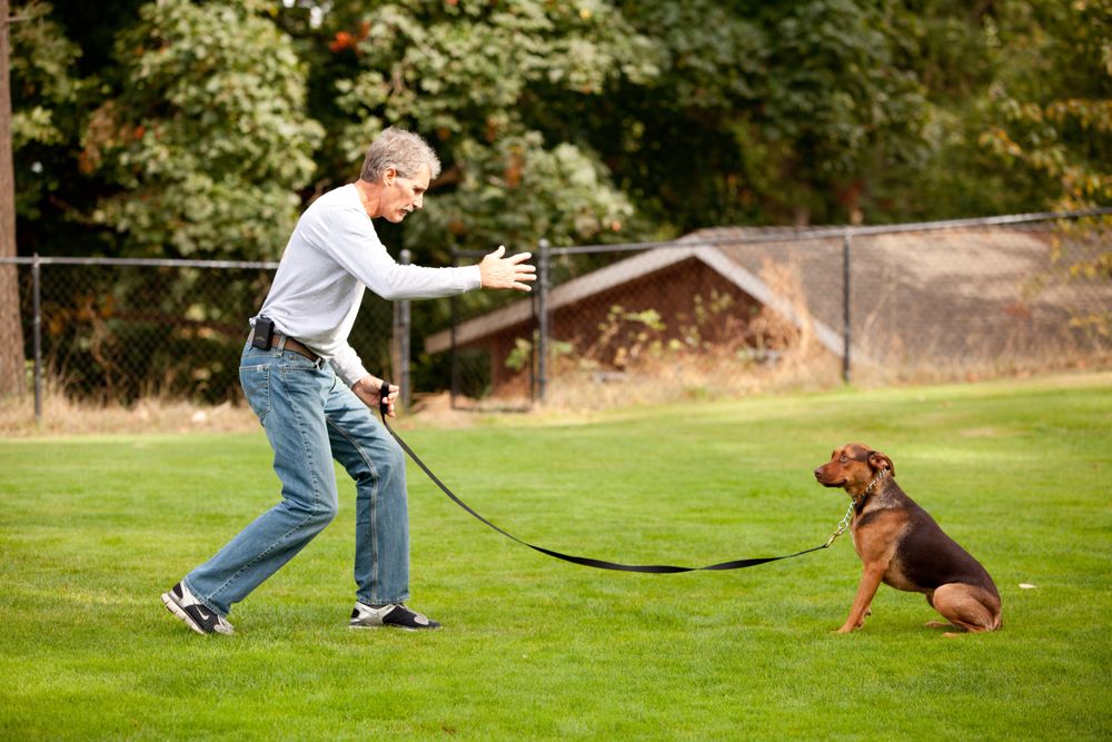 Canyon Crest K-9 Training Center & Daycare - pet boarding facility in Tacoma, WA