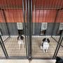 Photo of Norton Valley’s Dog Barn