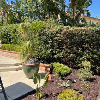 Pacific Crest Landscape - Drip, Plants and Planter Work - Landscaping Near Me Pacific Crest Landscape - Drip, Plants and Planter Work - Landscaping Near Me