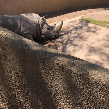 Phoenix Zoo - Zoos Near Me - Phoenix, Arizona