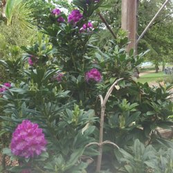 Ararat Botanical Gardens