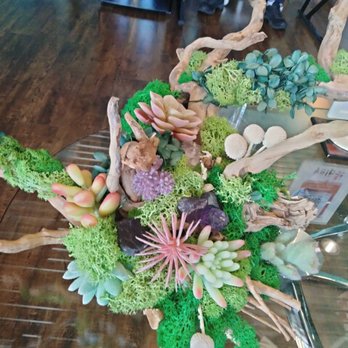 Massage Yee & Spa - Air plant decor - Massage Near Me - Lompoc, California Massage Yee & Spa - Air plant decor - Massage Near Me - Lompoc, California