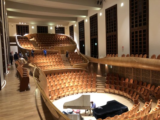 Museo del Violino by null