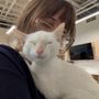 Petfolk Veterinary & Urgent Care - Concord