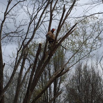 Complete Tree Service - Tree Services Near Me - Shawnee, Kansas Complete Tree Service - Tree Services Near Me - Shawnee, Kansas