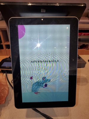Anthropologie by null