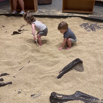 Creative Discovery Museum - Fossil digging - Museums Near Me - Chattanooga, Tennessee