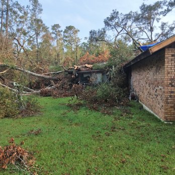 John's Tree Service - Tree Services Near Me