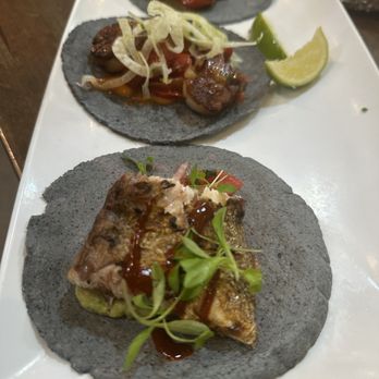 Holbox - Scallop Taco and grilled fish tacos - Latin American Near Me - Los Angeles, California Holbox - Scallop Taco and grilled fish tacos - Latin American Near Me - Los Angeles, California