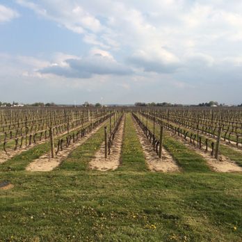 Jackson-Triggs Winery - Wineries Near Me - Niagara On the Lake, Ontario Jackson-Triggs Winery - Wineries Near Me - Niagara On the Lake, Ontario