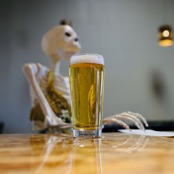 Crisp Lager