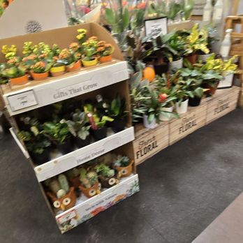 Sprouts Farmers Market - Grocery Near Me - Henderson, Nevada Sprouts Farmers Market - Grocery Near Me - Henderson, Nevada