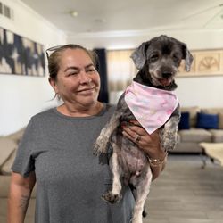 Happy Puppy Grooming - Ella and grandma !