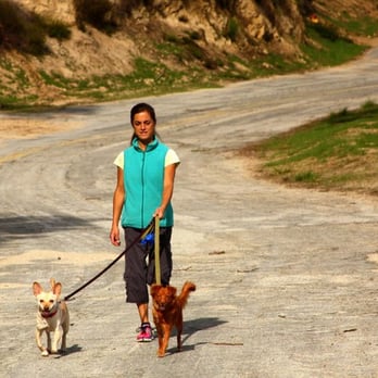 K9 Trekkers LA - K9 Trekkers L.A. hiking in Griffith Park, Los Angeles. - Dog Walkers Near Me K9 Trekkers LA - K9 Trekkers L.A. hiking in Griffith Park, Los Angeles. - Dog Walkers Near Me