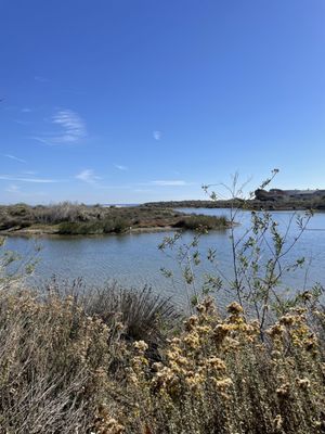 Malibu Lagoon State Beach by null