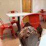 Photo of Remedy Coffee
