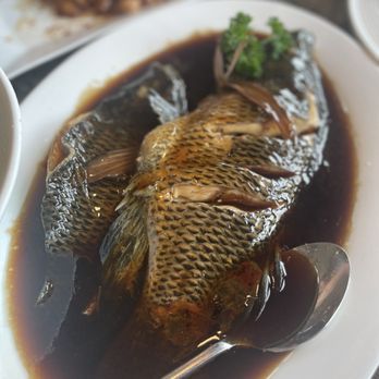 Shanghailander Palace - 601. Braised Fish in Brown Sauce (Black Cod) - Shanghainese Near Me - Arcadia, California Shanghailander Palace - 601. Braised Fish in Brown Sauce (Black Cod) - Shanghainese Near Me - Arcadia, California