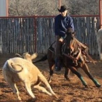 TnT Ranch & Sales - Come ride with us!! TnT ranch - Pet Training Near Me - Weatherford, Texas TnT Ranch & Sales - Come ride with us!! TnT ranch - Pet Training Near Me - Weatherford, Texas